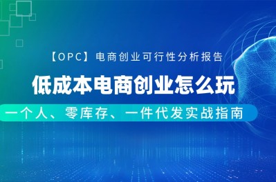 【OPC】低成本电商创业怎么玩